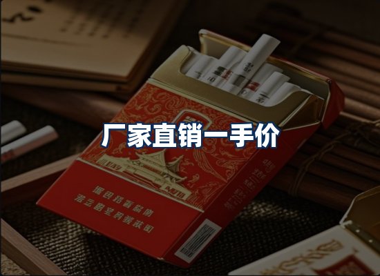 专业团队办公环境